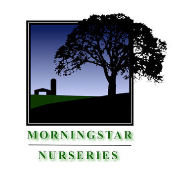 Morningstar Nurseries Llc
