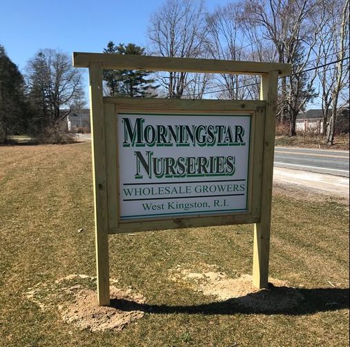 Morningstar Nurseries Llc Morningstar Nurseries Llc Is Located At 810 Usquepaugh Road Route 138 West Kingston Ri 02892
